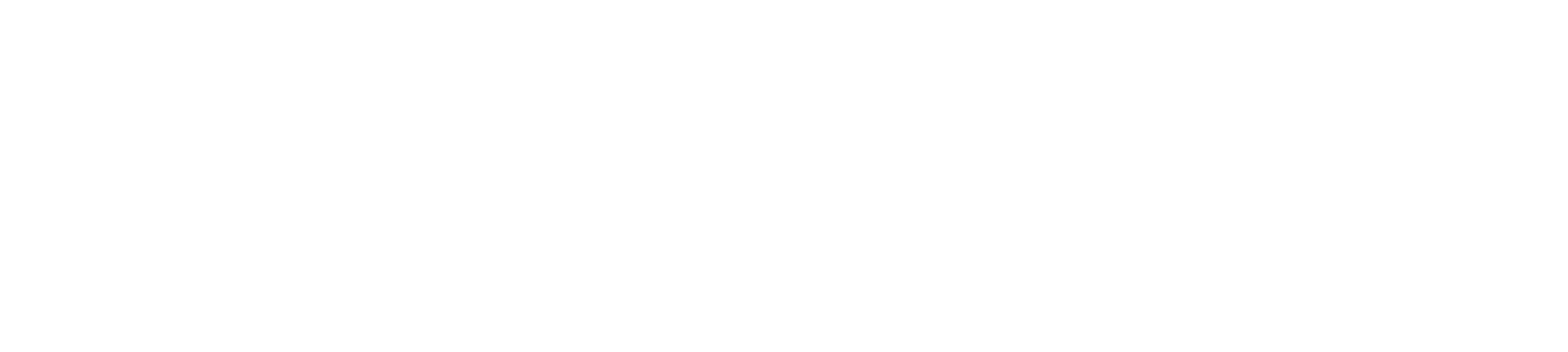 Women in Decommissioning logo, horizontal reversed